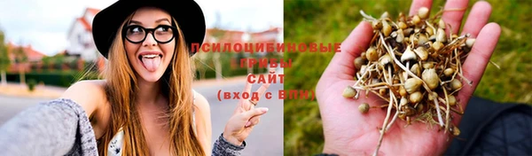 МДПВ Корсаков
