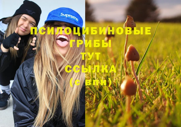 ECSTASY Краснотурьинск