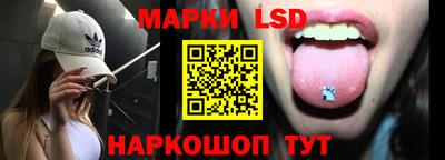 MDMA Гатчина