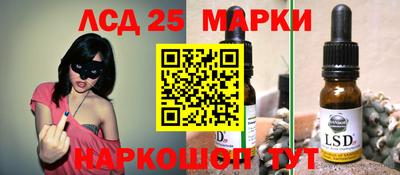 MDMA Гатчина