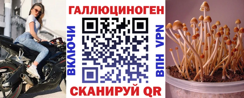 Галлюциногенные грибы мицелий купить закладку Камень-на-Оби