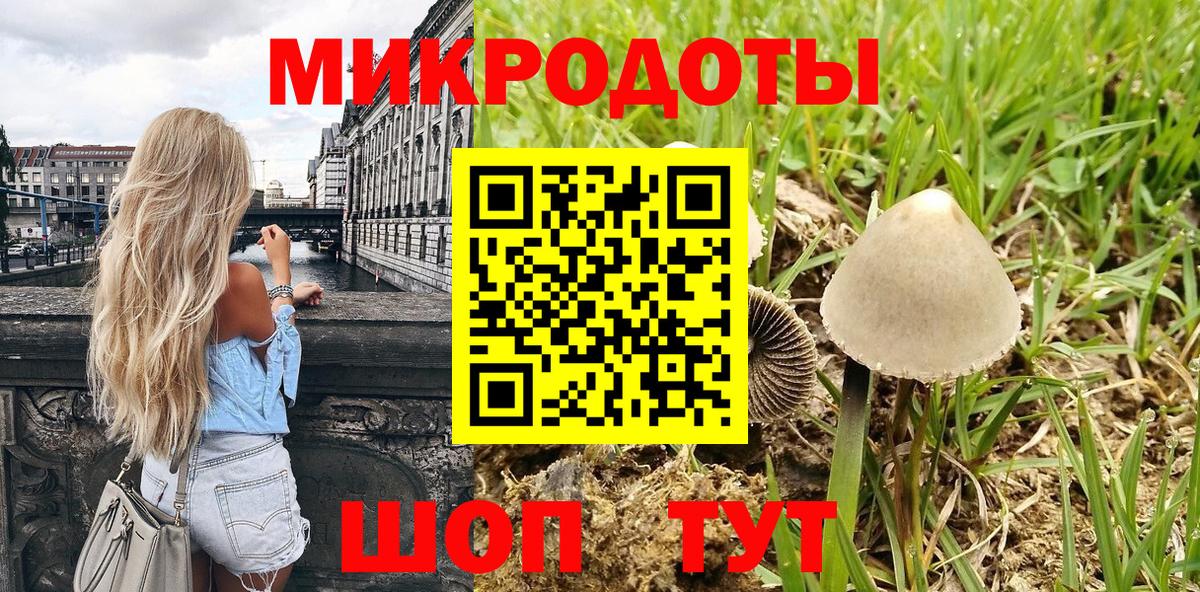 цена   Галлюциногенные грибы ЛСД  Вход с VPN  Камень-на-Оби 