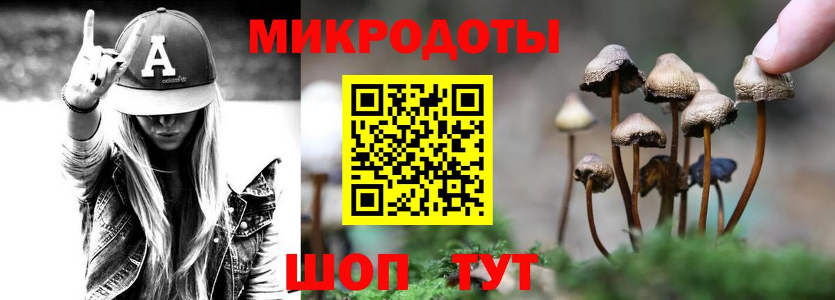 Галлюциногенные грибы Psilocybine cubensis  Камень-на-Оби  Галлюциногенные грибы прущие грибы 
